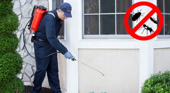 Yedisu Karınca İlaçlama böcek ilaçlama ve haşere kontrolü — ilaclama-tr.com